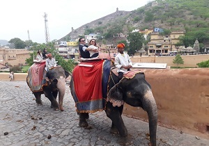 Jaipur Tour 2 Days 1 Night