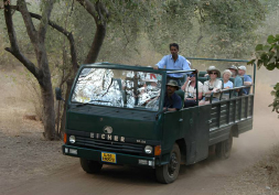 Wildlife Heritage : Royal Rajasthan Tour