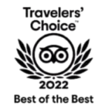 Traveler choice logo