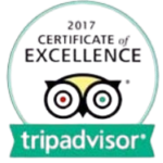 Certificate of Excellence Logo 2017
