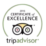 Certificate of Excellence Logo 2016