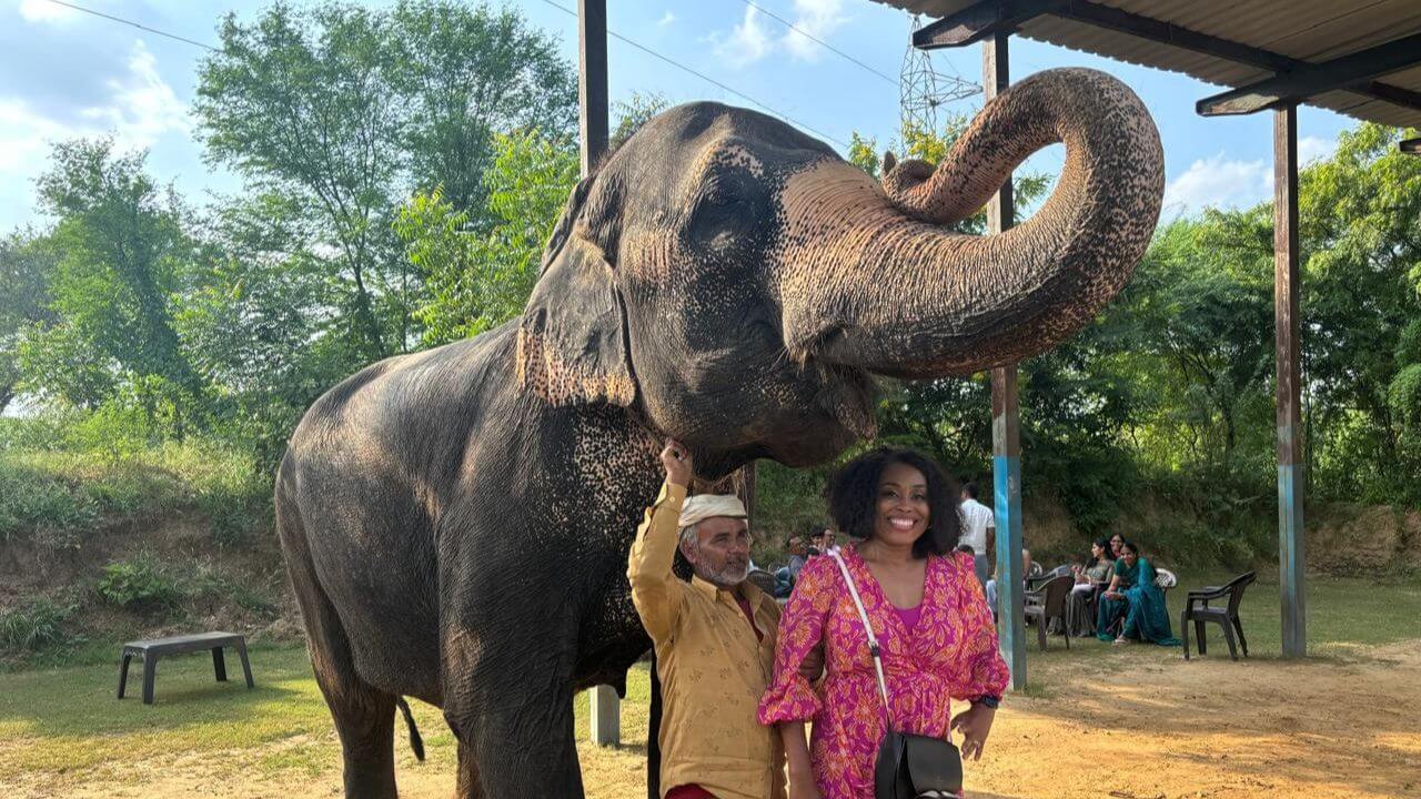 Woman posing with an Asian elephant and its mahout at an open shelter area during the Royal Rajasthan 10 Days Tour